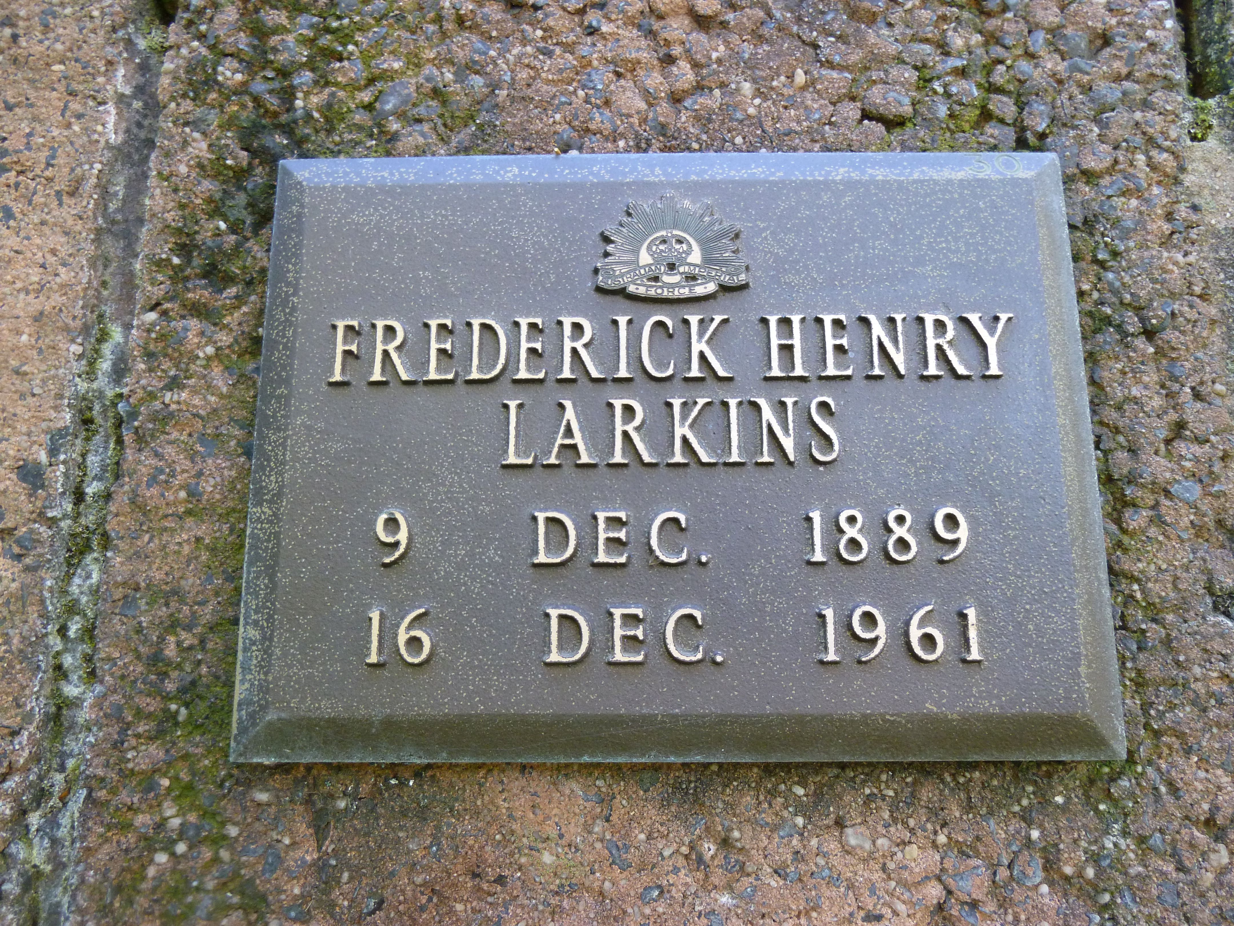 Photo of Frederick Larkins