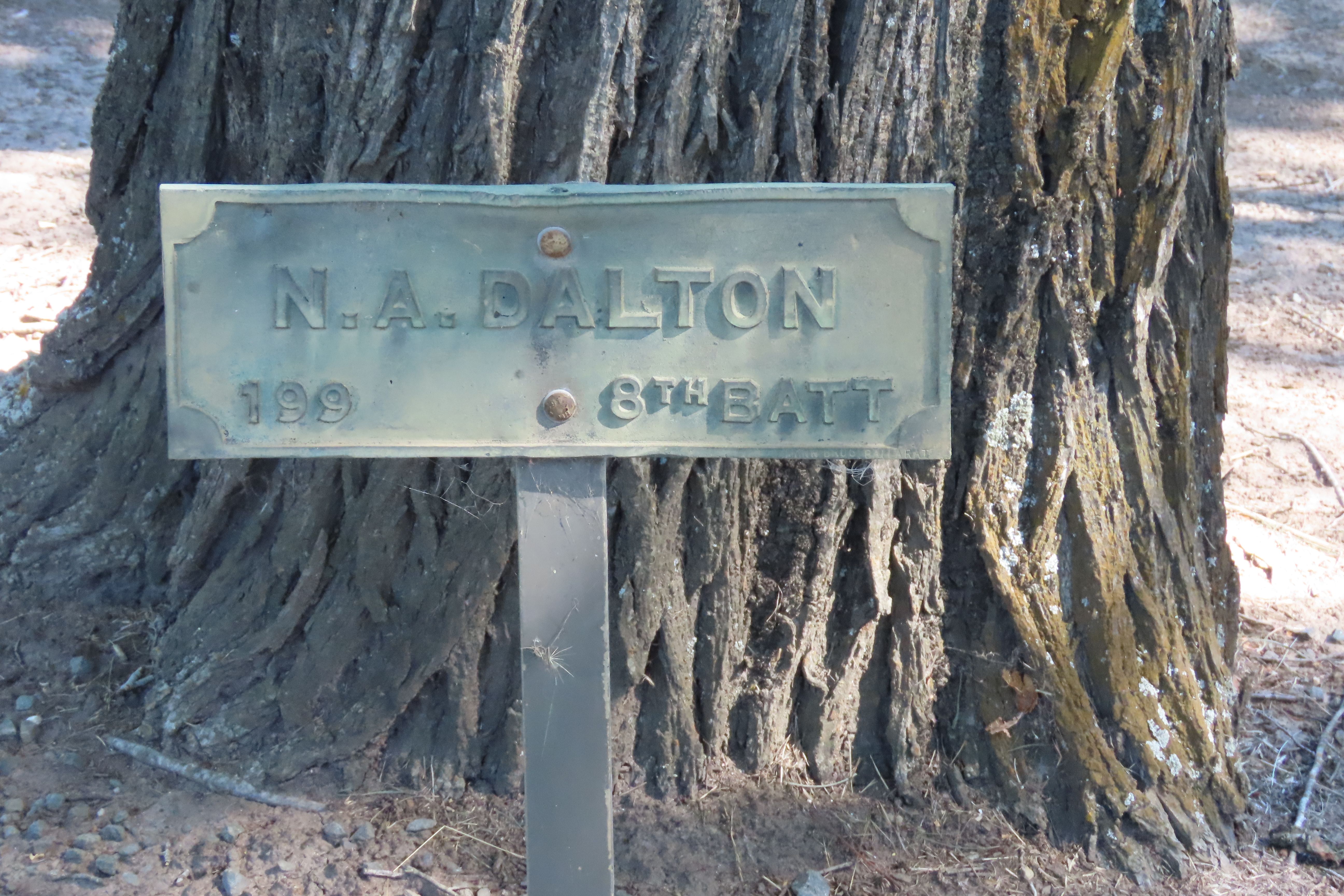 Photo of Norman Dalton