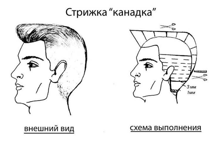 Мужская прическа спортивная