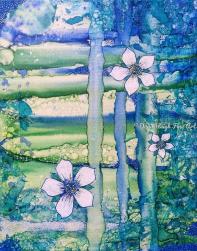 Dana Haigh