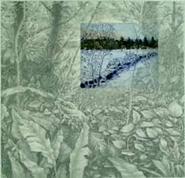 J. Ann Eldridge