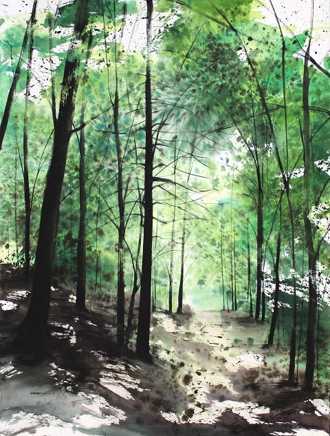 Sumiyo Toribe
