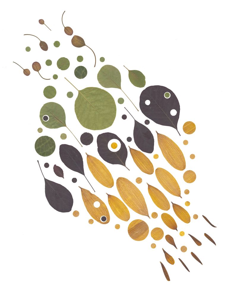 Artwork 2