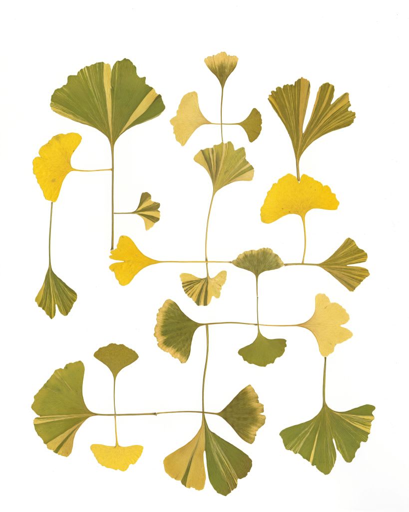 Artwork 9
