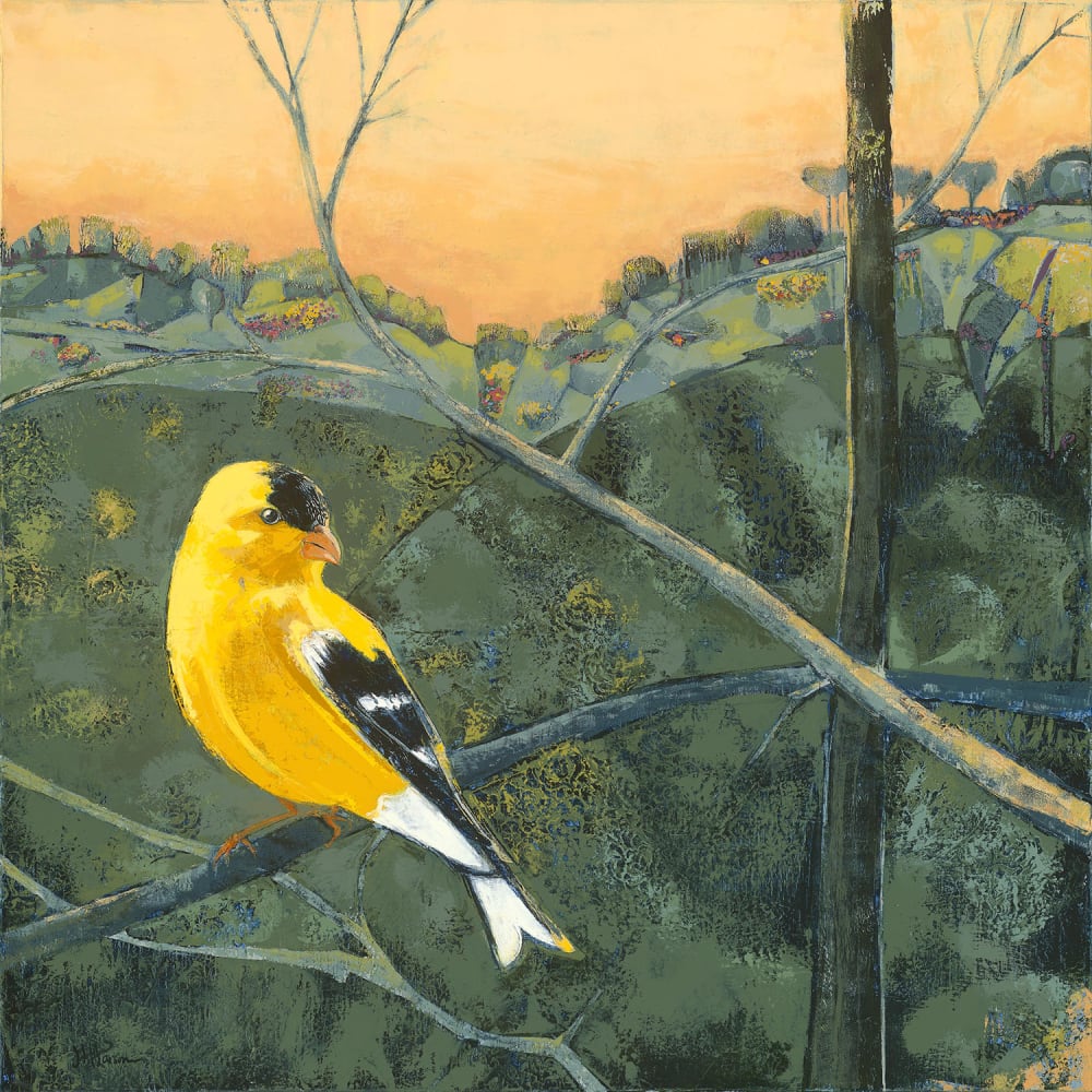 Jane Parsons