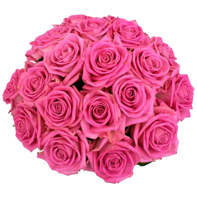 Romantic bouquet of pink roses