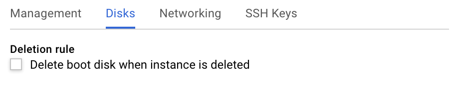 disable disk deletion