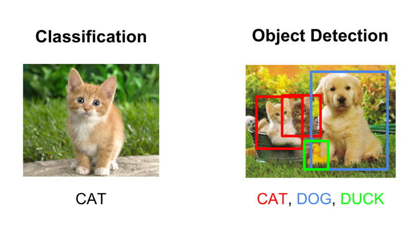 image classification and object detection graphic