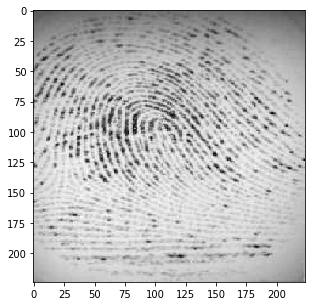 fingerprint