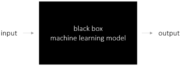 black box machine learning model