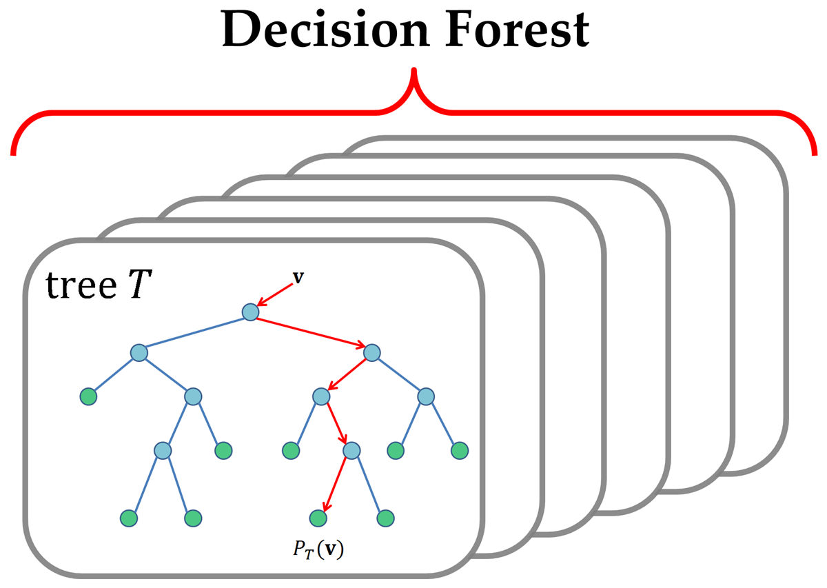 multiple decision trees