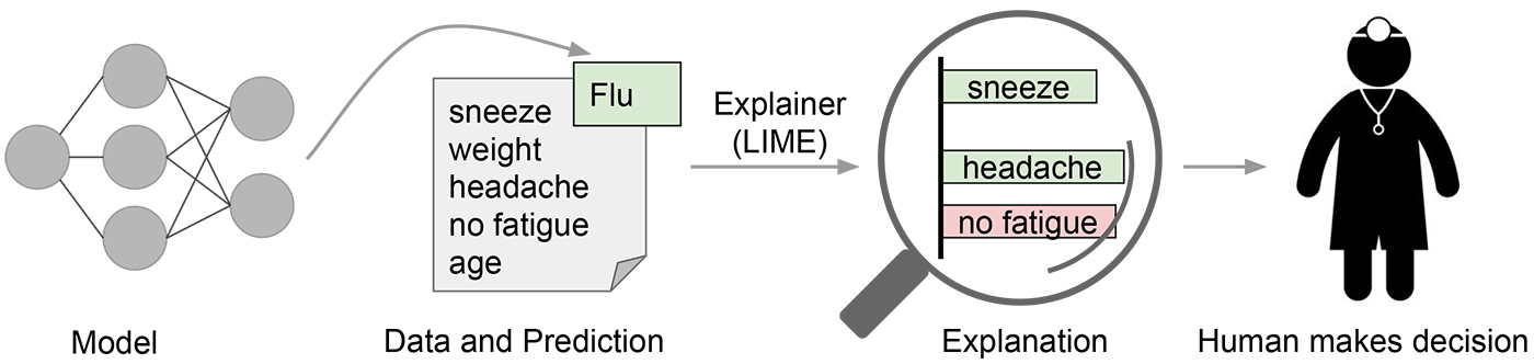 Explaining individual predictions to a human decision-maker