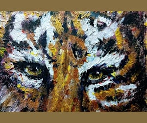 Eyes of the Wild