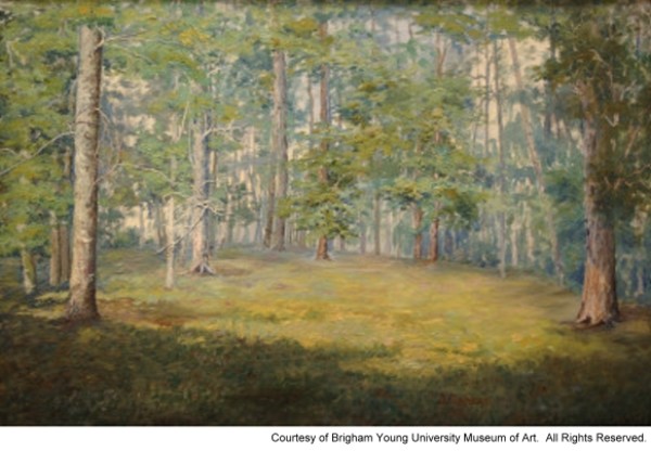 Sacred Grove
