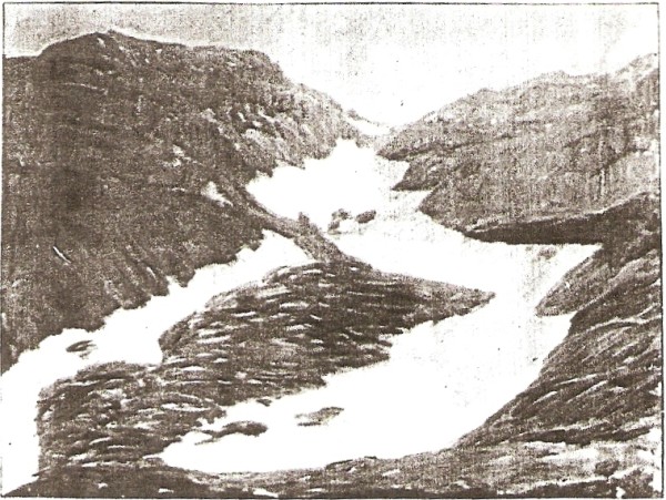 Timpanogos Snows