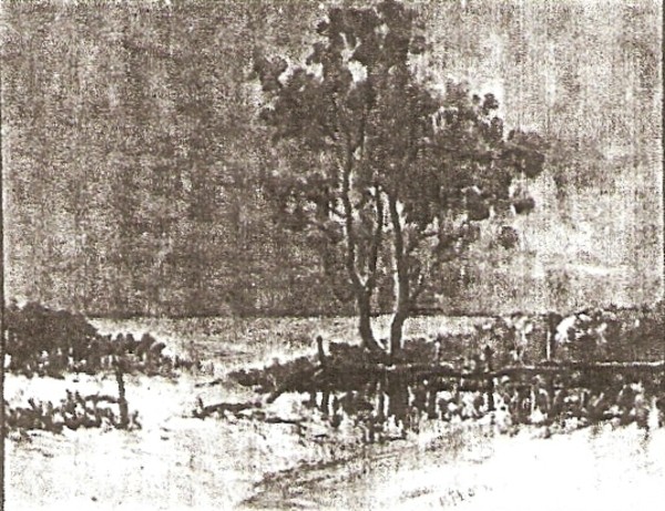 Fields of Snow