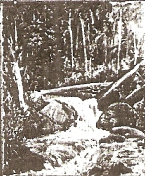 Laughing Waters