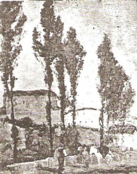 Spanish Travelers
