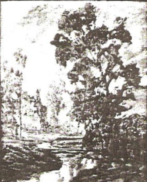 Spring Creek