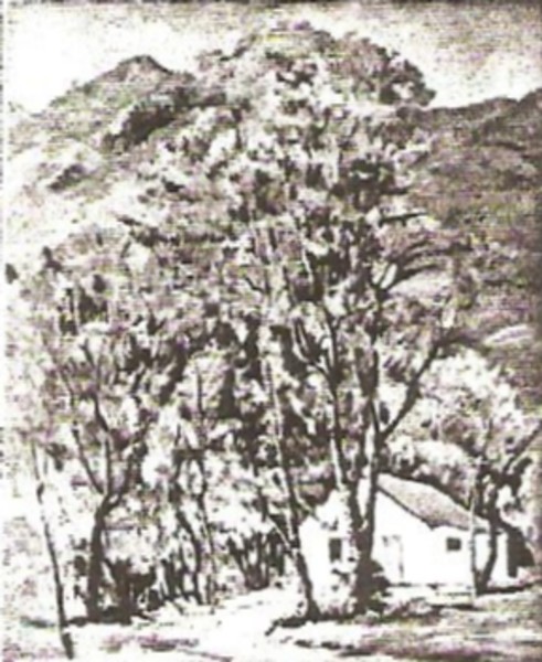 The White Cabin