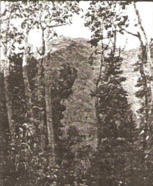 On the Alpine Campus