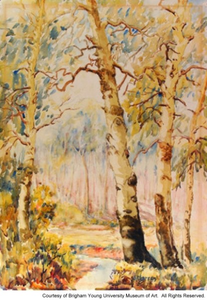 Portrait of Old Aspens