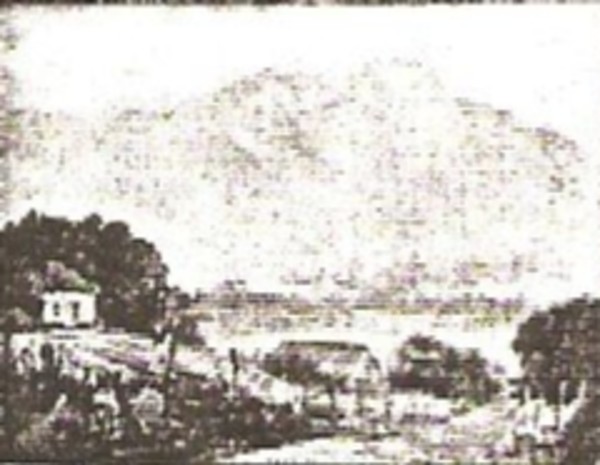At the Davis Farm