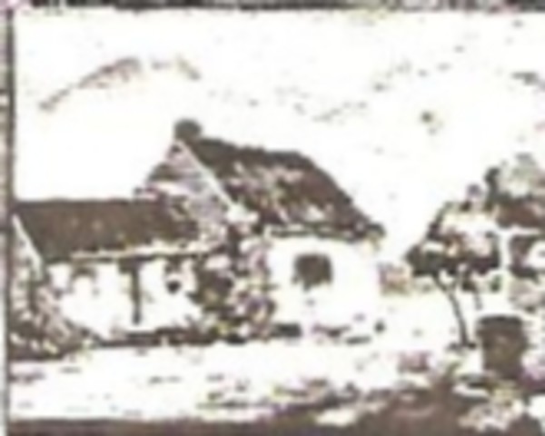Pioneer Home