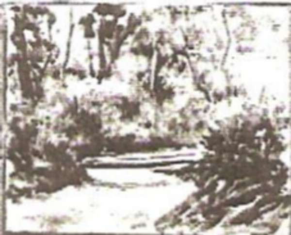 Forest Road