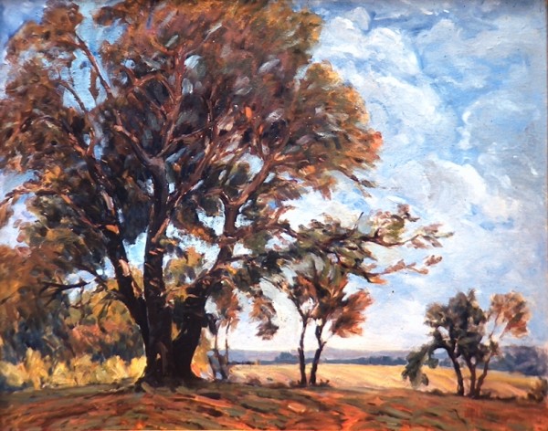 Tree at Florence Nebraska