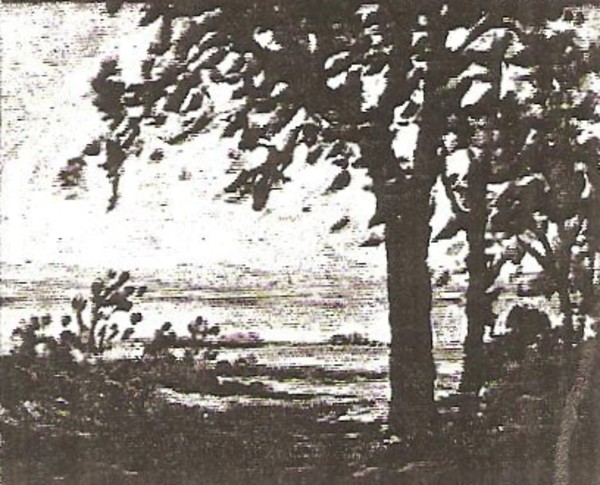 Mississippi River Near Nauvoo