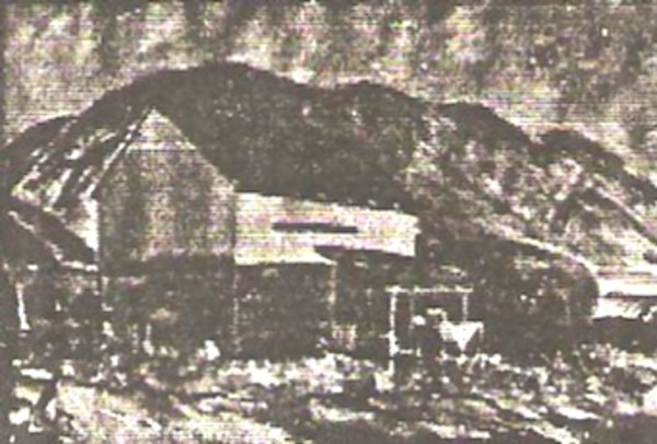 Pea Thresher