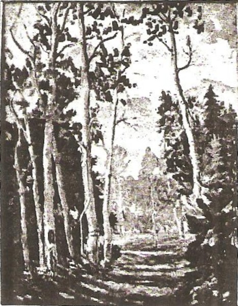 Aspens
