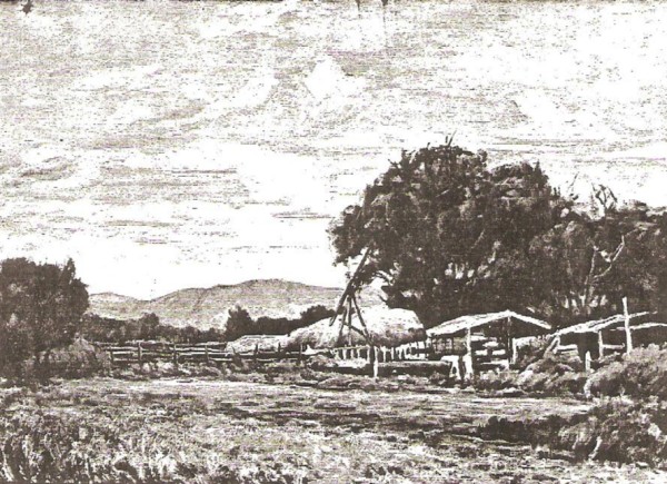 Highland Ranch Sheds