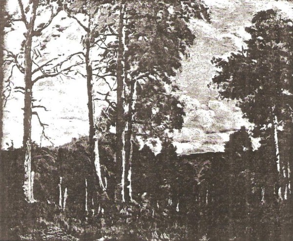 On the Syline Drive