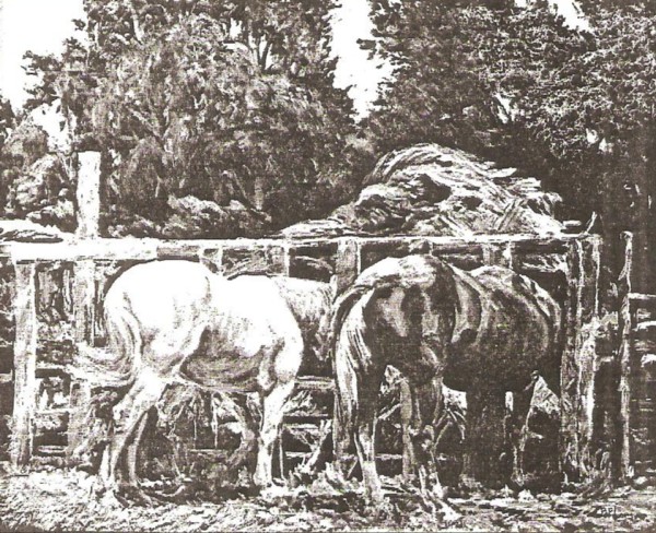 Rural Manger