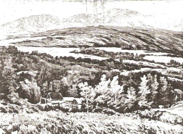 Montana Landscape