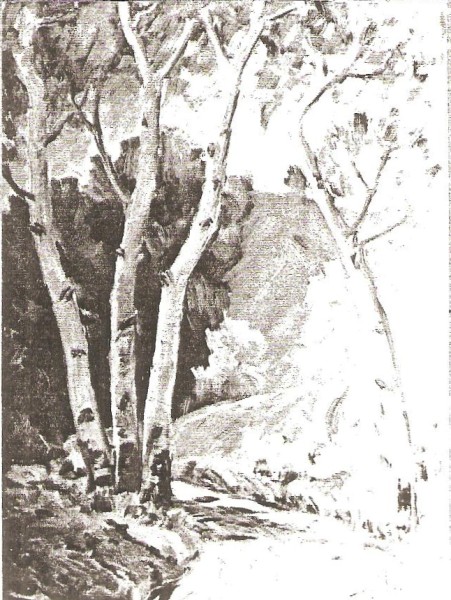 Nebo Loop Aspens