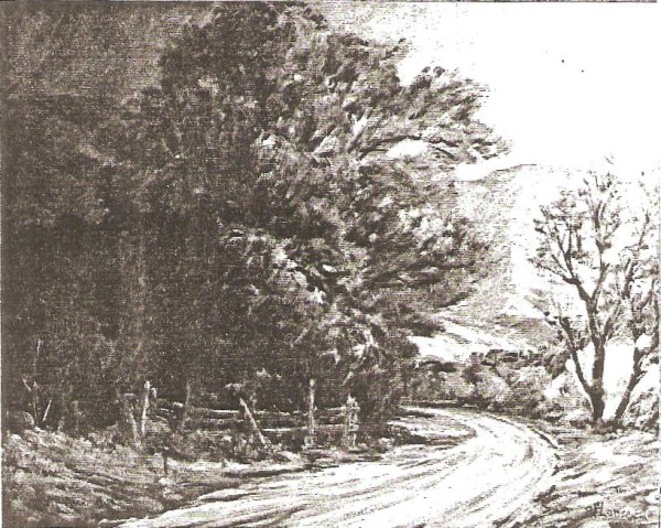 Field Road Near Pleasant Grove