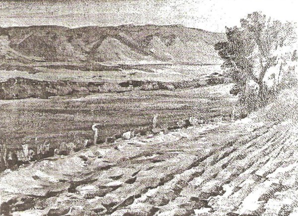 Fields Near Draper
