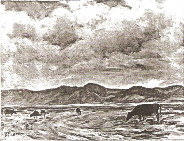 Cows in the Valley