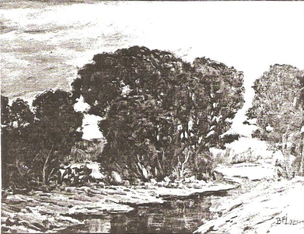 Summer Trees