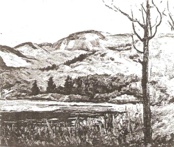Trout Lake