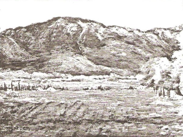 Early Spring