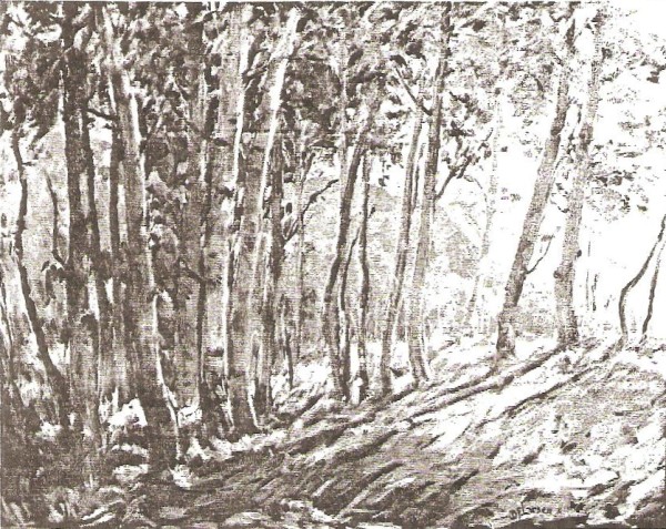Aspens