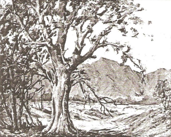 View of Timpanogos