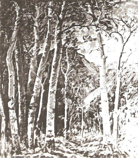 Wasatch Aspens