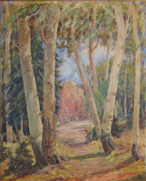 Aspen Portraits