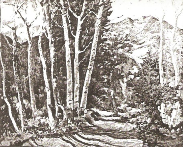 A Mountain Road