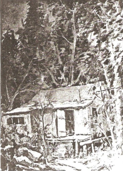 The Nelson Cabin